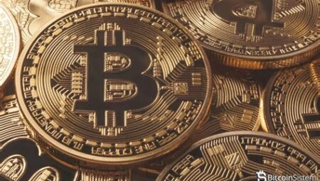 Bitcoin ve Kripto Paraların Dünya Genelindeki Kabul Edilme Durumu