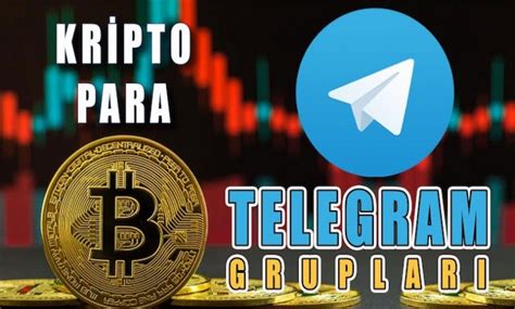 Kripto Para ve Altcoin Airdrop ve Fork Olayları